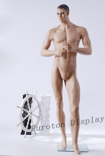 Mâle mannequin vitrine - mâle, de